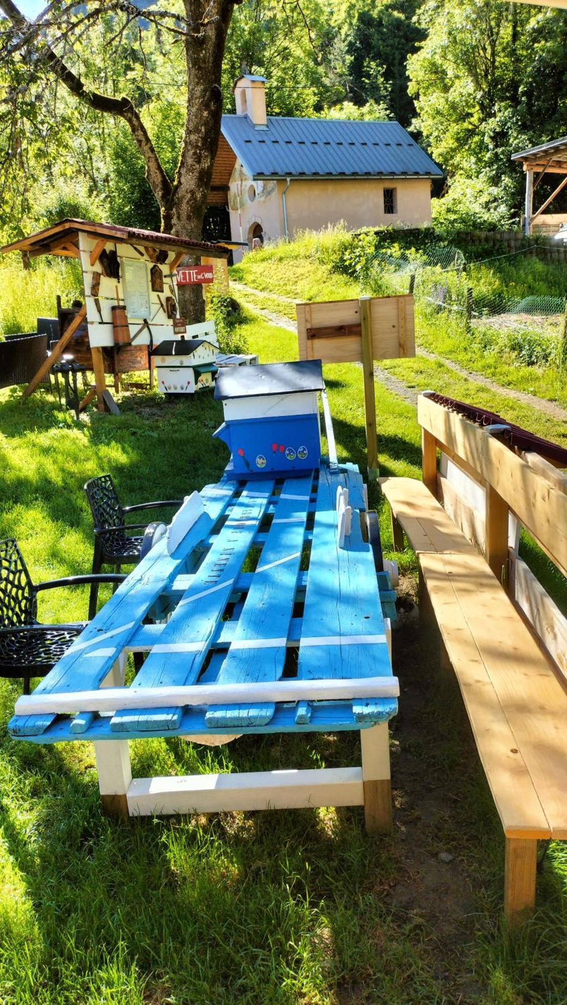 Bed and Breakfast Au Sommet Des Narcisses Albiez-Montrond Exterior foto